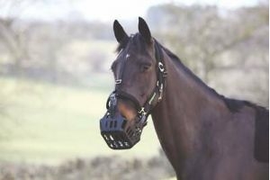 Greenguard Headcollar in Black to be used with Greenguard Muzzle, 3 sizes