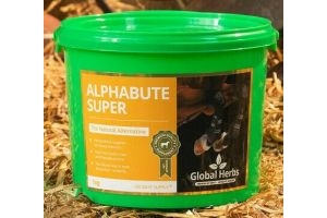 Global Herbs Alphabute Bute Super Muscle Joint Back Tendon Soothing Supplement