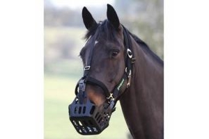 Greenguard Horse Muzzle: Black: Small