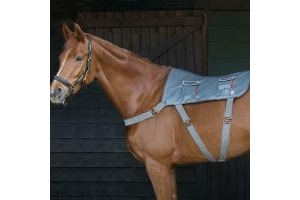 Equilibrium Therapy Horse Massage Back Pad - Standard Size discount