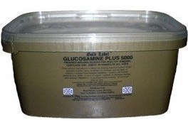Gold Label 2.7kg Glucosamine Plus 5000 Horse Supplement - For healthy tendons, cartilage and joints in horses of all ages