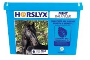 Horslyx Mint Horse Lick Balancer Refill - 5kg