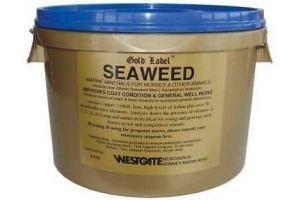 Gold Label SeaWeed | Horses & Ponies | General Health