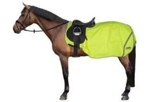 Weatherbeeta 300D Reflective Exercise Sheet, Size Pony, Yellow RRP £63.99