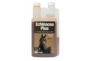 NAF Echinacea Plus for Horses | Horses & Ponies | Immunity