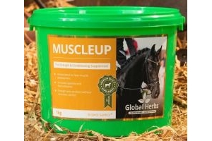 Global Herbs MuscleUp Lean Muscle Up Builder Topline Strength Horse Supplement