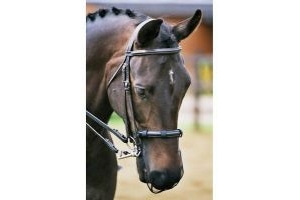 Equilibrium Net Relief Muzzle Net, Helps Relieve Headshaking,Dressage Approved