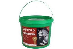 Global herbs Gastrofix
