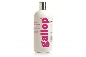Carr & Day & Martin Gallop Stain Removing Shampoo ALL SIZES