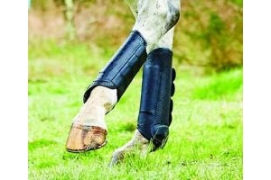 Weatherbeeta Cross Country Boots - Hind