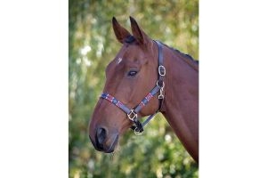 Shires Blenheim Leather Polo Headcollar Red/Navy