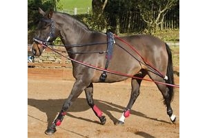 John Whitaker Training System Aid Pessoa With Roller  Lunging System -