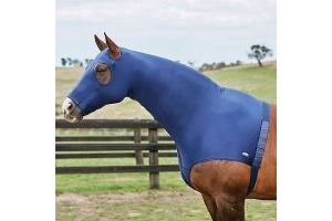 Weatherbeeta Stretch Hood With Zip (Colour: Navy, Size: Pony)