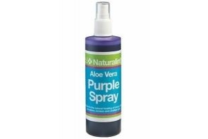 NAF NaturalintX Aloe Vera Purple Spray 240ml