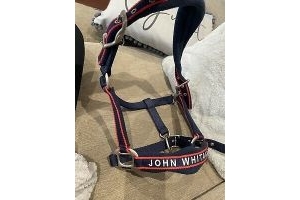 john whitaker padded head collar size cob red and navy Brand New
