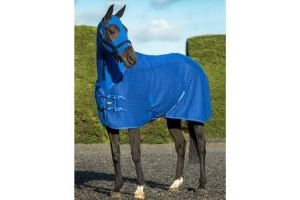 LeMieux Thermo-Cool Rug Benetton Blue