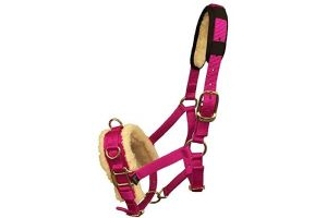 Shires Fleece Lined Lunge Cavesson - Raspberry: Pony