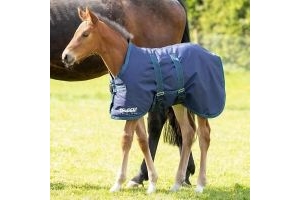Shires Tempest Original 200g Foal Turnout Rug - Navy/Turquoise