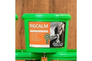 Global Herbs Rigcalm hormonal supplement for riggy geldings. Blend of chasteb...