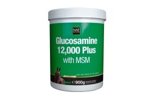 Glucosamine 12,000 Plus With MSM
