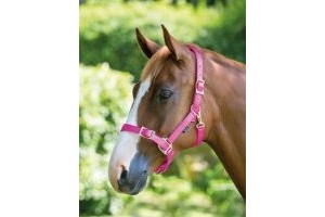 SHIRES PRO ADJUSTABLE HEADCOLLAR ASSORTED COLOURS & SIZES (410)