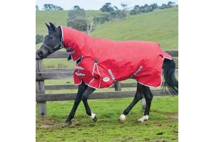 ComFiTec Classic 100g Medium/Lite Weight Combo Turnout Rug Red/Silver/Navy
