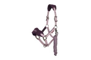 LeMieux Vogue Headcollar and Leadrope Fig