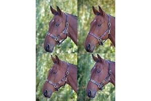 Shires Blenheim Leather Polo Headcollar waxy, conker brown leather, this smar...