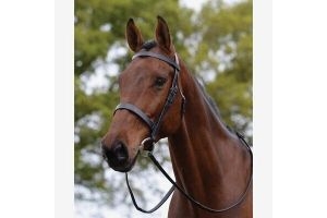 Kincade Hunt Cavesson Bridle, Black, Full Size, Complete with Rubber Grip Reins