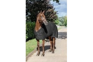 LeMieux Thermo Cool Rug - Carbon Cooler Travel Rug