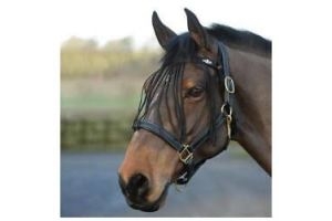 Saxon Fly Fringe | Horses & Ponies