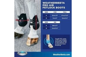 WeatherBeeta Pro Air Fetlock Boots Lightweight Breathable Perforated Protection