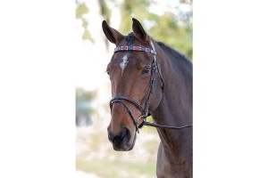 Blenheim Leather Polo Browband Red/Navy