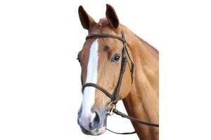 Aviemore Raised Cavesson Bridle Brown