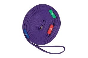 Two Tone Lunge Rein With Circles Markers Purple/Black