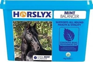 Horslyx 5kg Mint Stable Lick Refill 