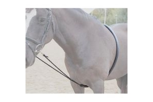 Shires Soft Lungeing Aid Black