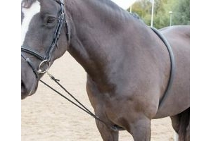 Shires Soft Horse Lunging Aid | Black | One Size / Schooling / Lunging Aid