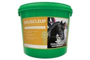 Global Herbs Muscleup The Strength & Conditioning Supplement 1kg