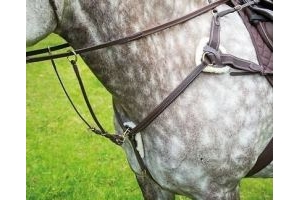 Shires Salisbury 5 Five Point Leather Breastplate And Martingale | 3 Colours