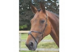 New Shires Blenheim Mexican Grackle Noseband with Rings Pony / Cob / Full 