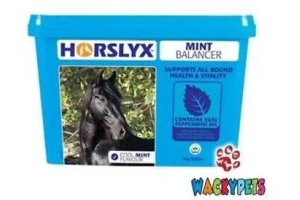 Horslyx Mint Lick Refill 5kg. With Peppermint Oil Horse / Pony