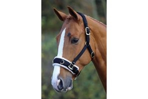 Shires Fleece Lined Lunge Cavesson Black
