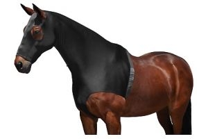Weatherbeeta Pony/Horse Stretch Hood With Zip - Black