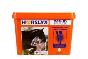 Horslyx Mobility Stable Lick Refill 5kg