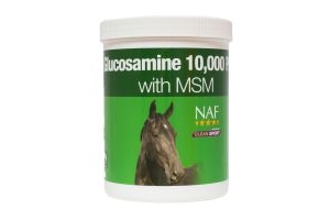 Glucosamine 10,000 Plus with MSM