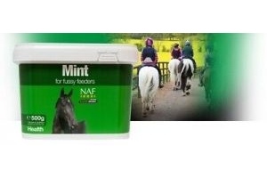 Naf Mint 100 days supply Supplement - free post -fussy eaters