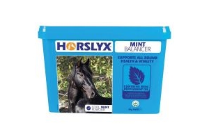 Horslyx Mint Refill 5kg