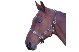 Shires Blenheim Leather Polo Headcollar Pink/Navy