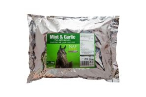 NAF Mint & Garlic Supplement